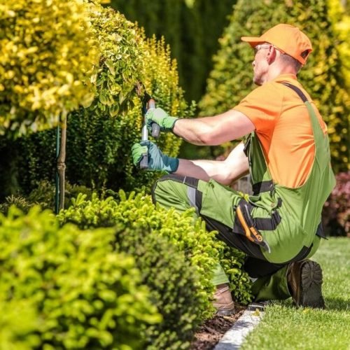 Gardening