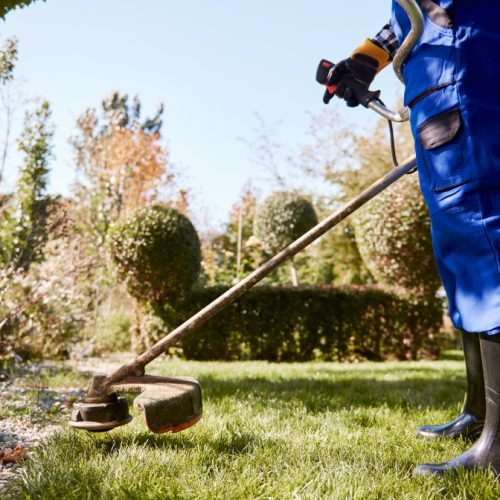 Landscaping