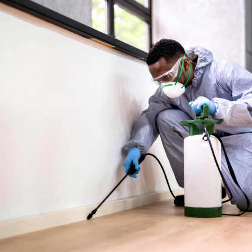 Pest Control