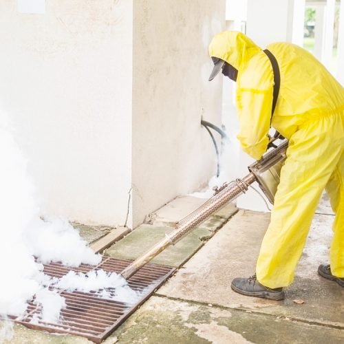 Termite Treatment